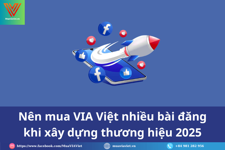 blog-widget